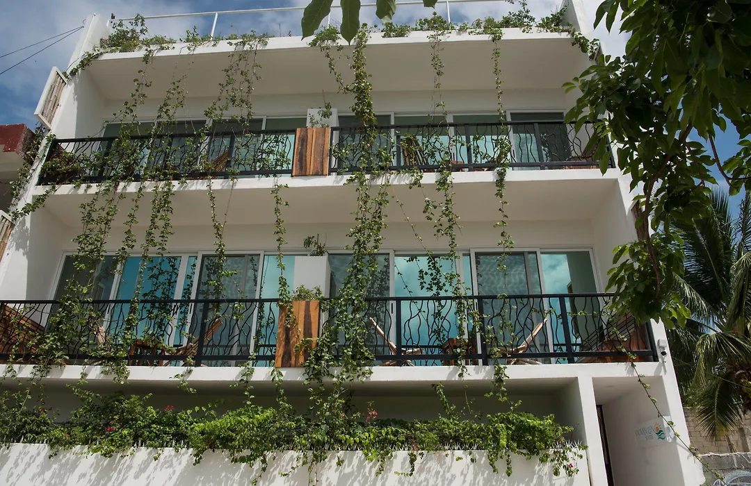 Ocean Zen Suites On 5Th Avenue - Adults Only-1