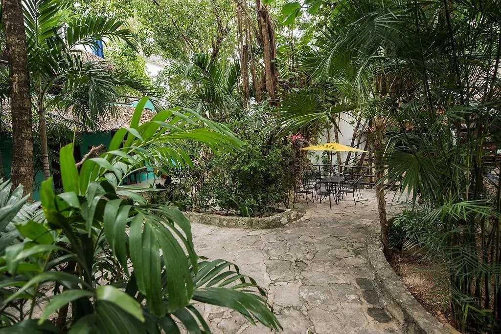 Luna Blue Hotel Playa Del Carmen-1