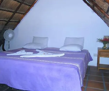 Hotel La Rana Cansada-2